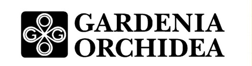 GARDENIA  ORCHIDEA